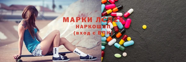 хмурый Аркадак