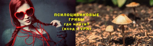 мяу мяу мука Арсеньев