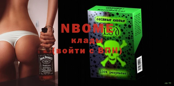 хмурый Аркадак