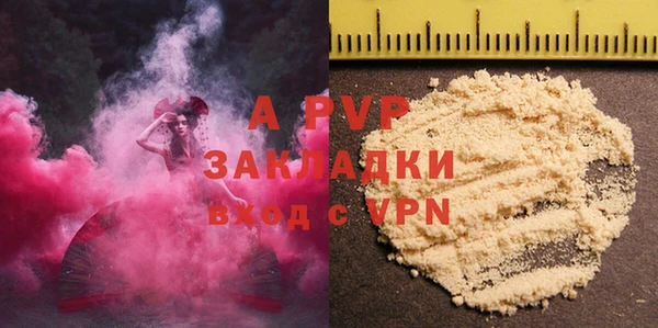 хмурый Аркадак