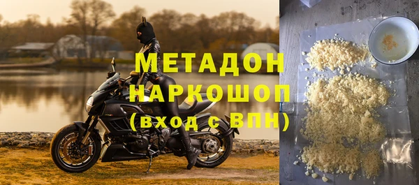 хмурый Аркадак