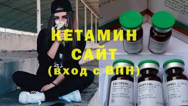 хмурый Аркадак