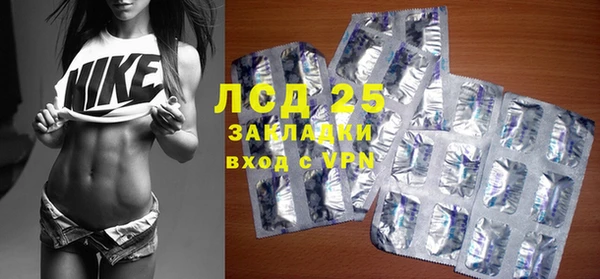 хмурый Аркадак