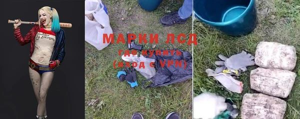 мяу мяу мука Арсеньев