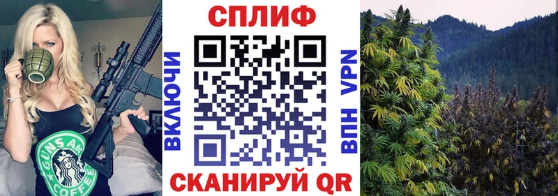 наркошоп  Макарьев  Шишки марихуана тримм 